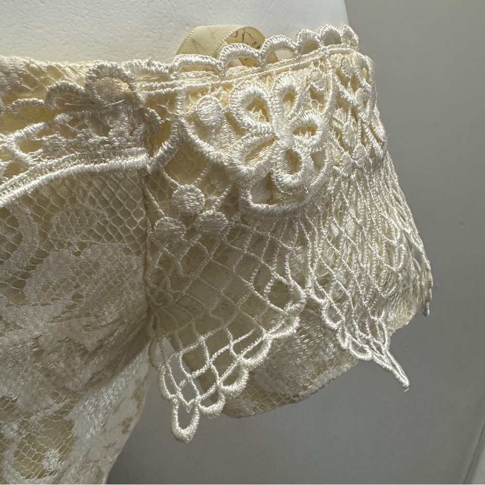 Vintage Scott McClintock Victorian Lace Formal Dress Size 6 (Missing 2 buttons) - Picture 8 of 13